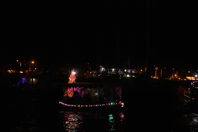 DSC_2544 (Large).JPG